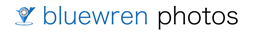 bluewren photos logo